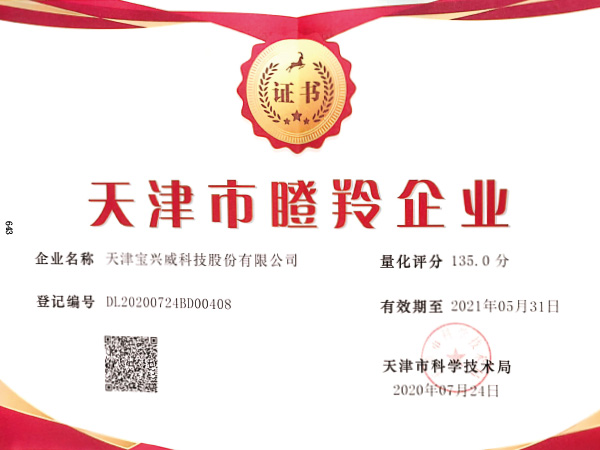 05-天津市瞪羚企业证书.jpg