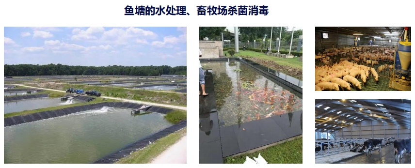 1721023723728051.png image.png